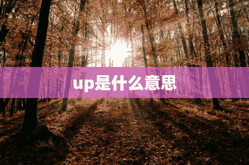 up是什么意思(up是什么意思中文翻译)